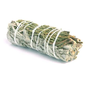 Sauge Blanche - Cèdre